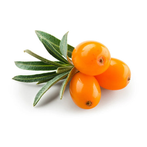 Sea buckthorn Juice This juice is prepared with certified wild and organic sea buckthorn berries.