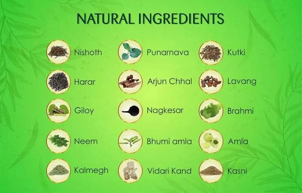 Nasha Band Anti-Addiction Ayurvedic Powder